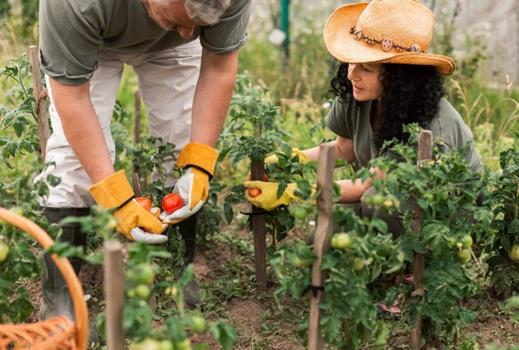 permaculture dans les Vosges