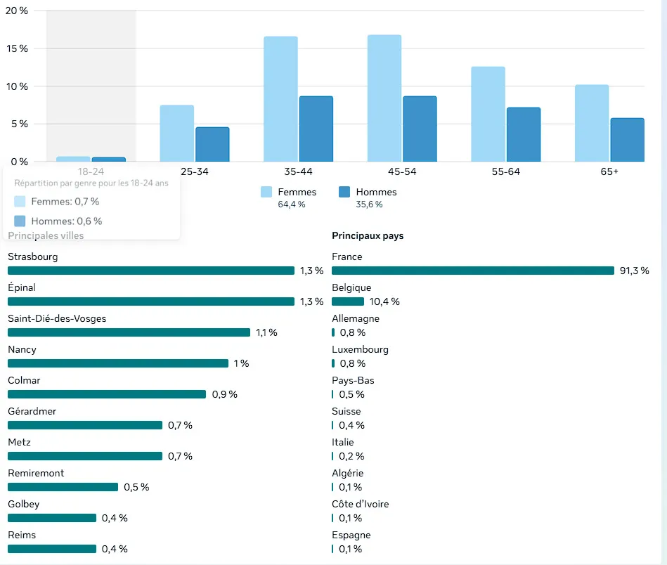 Graphique de l'audience détaillée de la page facebook Vosges Tourisme